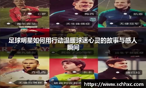 三亿体育有限公司