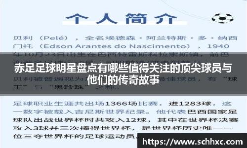 三亿体育有限公司